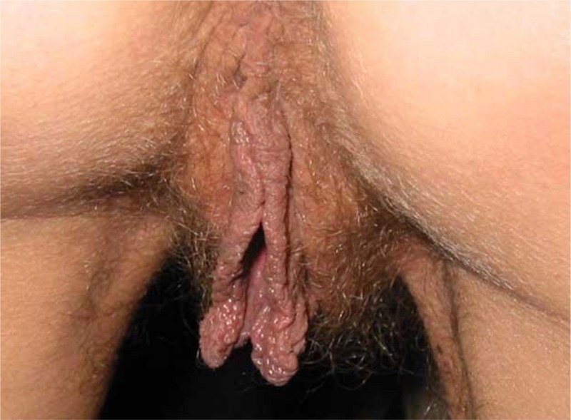 Волосатая вагина с большими половыми губами фото