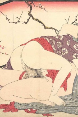 Порно холст японки (56 фото)