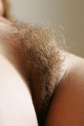 Волосатый женский лобок крупным планом (59 фото)