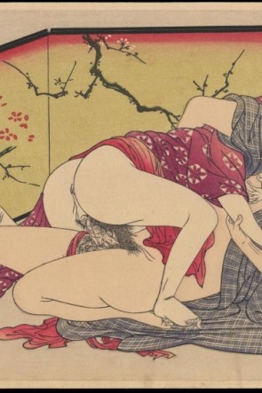 Порно с историей япония (53 фото)