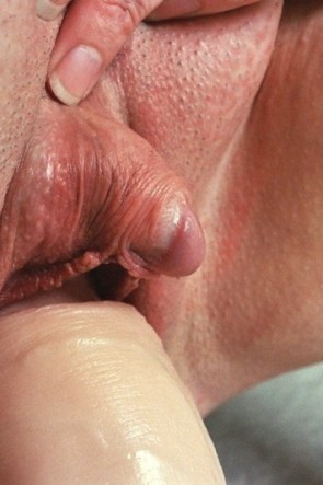 Большие половые губы на члене (61 фото)