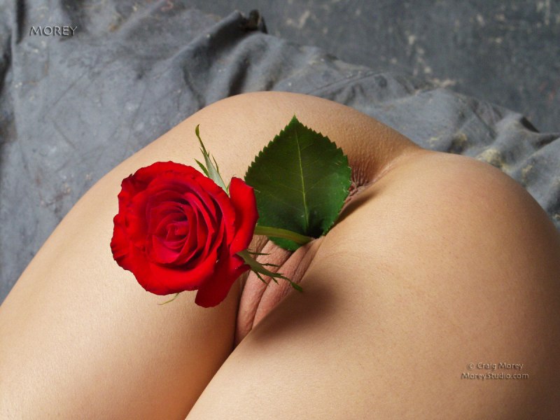 Пизда как роза (79 фото) - секс и порно поддоноптом.рф