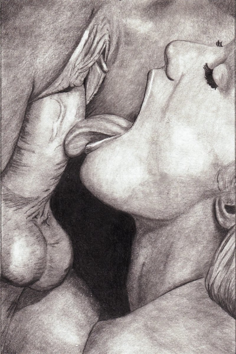 Pencil drawings of oral sex