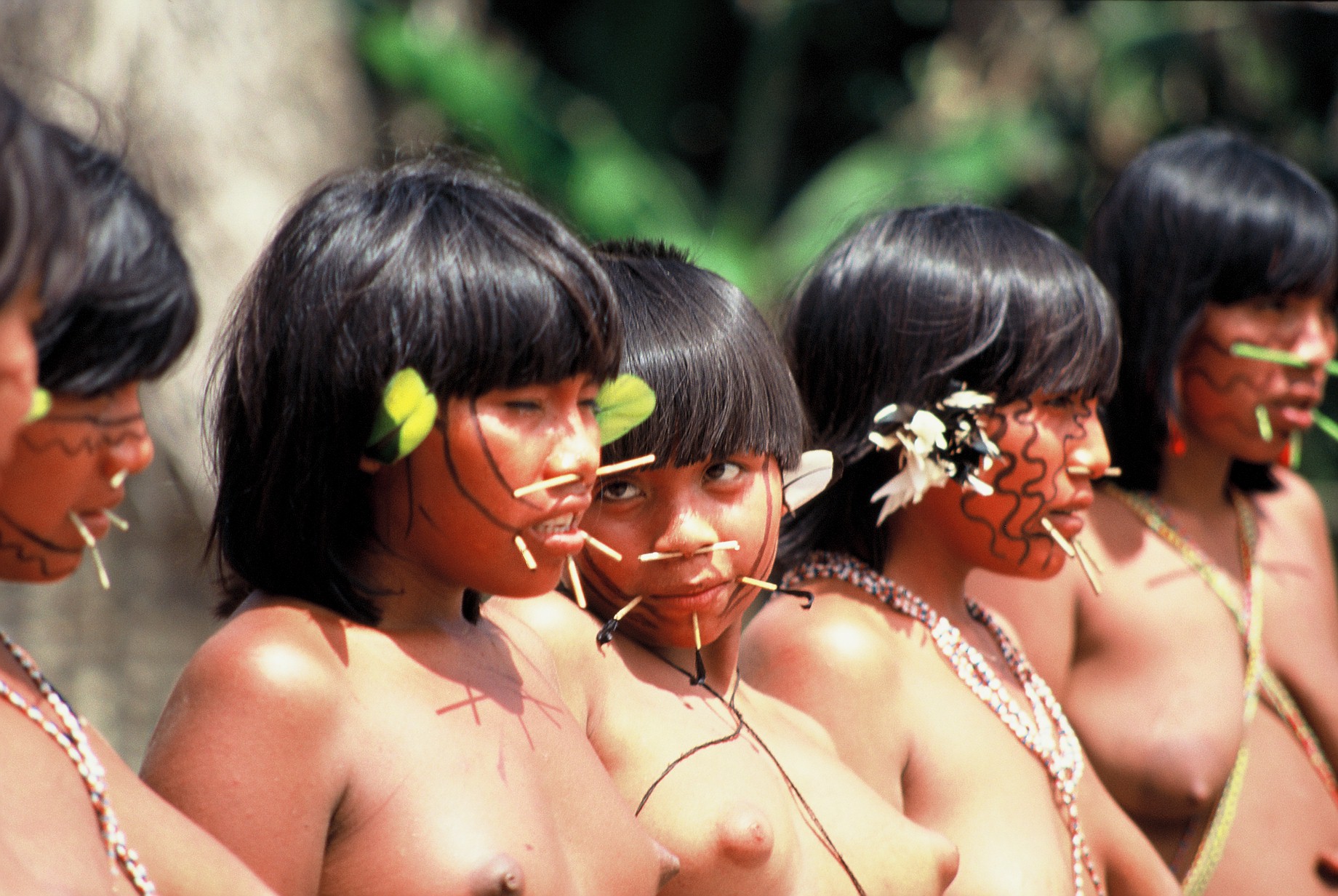 Голые девушки из племени яномами (61 фото) - порно и эротика goloe.me