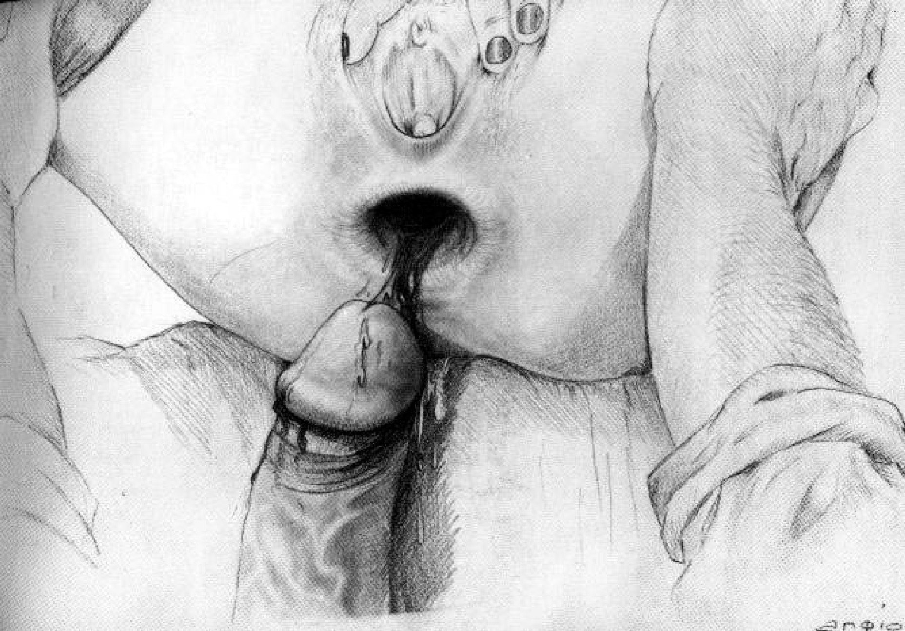 Секс рисованный карандашом (59 фото) порно и эротика goloe me. goloe.me. 